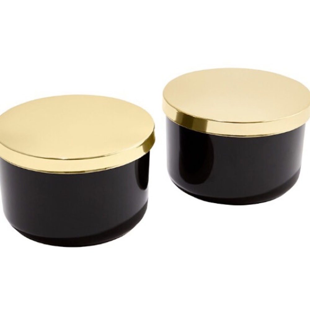 Z Gallerie Multi-Use Storage Duo